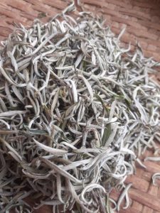 tra shan tuyet